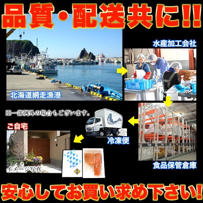 鮭 希少 時鮭 ときしらず 北海道 知床 ギフト 贈答 送料無料 刺身 400g