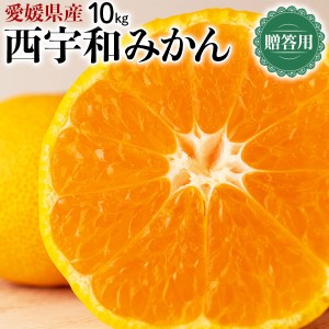 愛媛 西宇和みかん 贈答用 10kg S～Lサイズ混合…