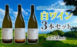 3種の白ワイン3本セット| 国産 長野県 お酒