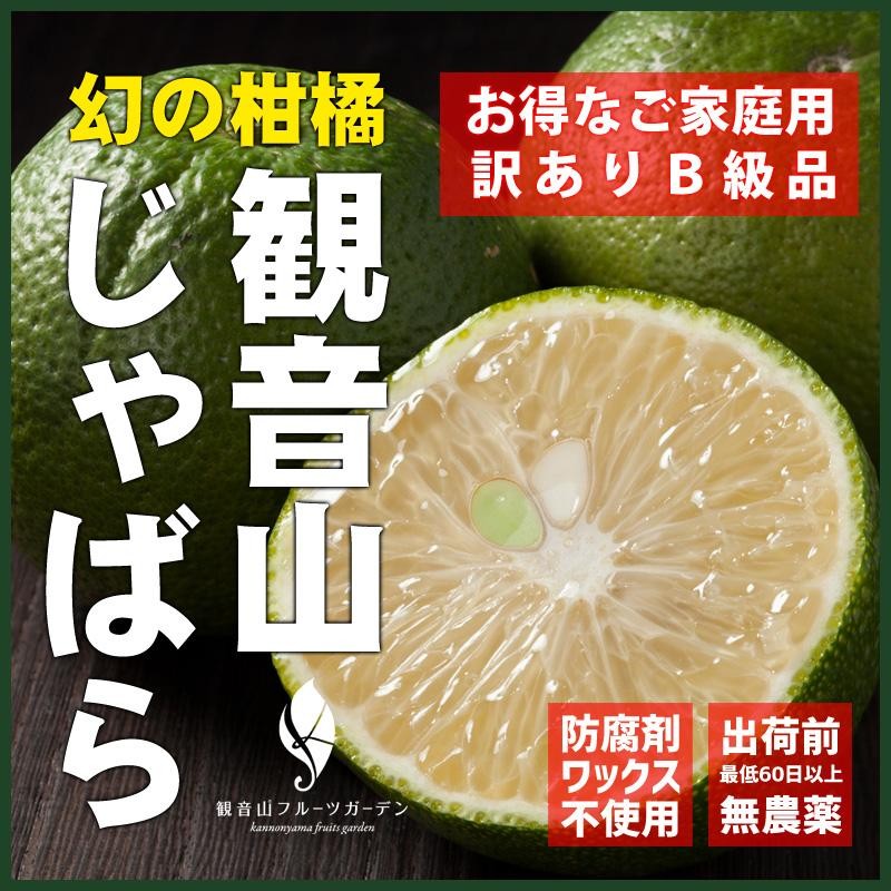 じゃばら B級品 9kg 和歌山県産ジャバラ 観音山フルーツガーデン 送料