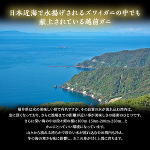 ふるさと納税 茹で越前ガニ 約700g以上×1杯 茹でガニ 蟹 かに 越前がに 越前ガニ ズワイガニ ずわい蟹 ずわいがに ボイルガニ .. 福井県若狭町