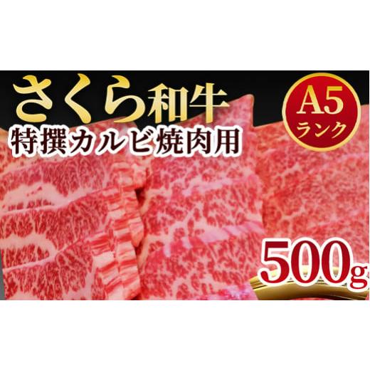 ふるさと納税 栃木県 さくら市 A5さくら和牛特撰カルビ焼肉用500ｇ≪肉 焼肉 国産牛 グルメ≫