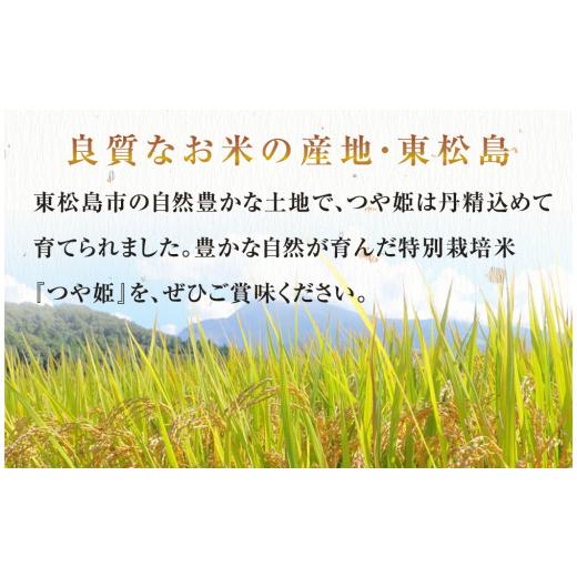 ふるさと納税 宮城県 東松島市 東松島産　つや姫　玄米10kg　米　お米　宮城県　玄米　東松島市　宮城県産