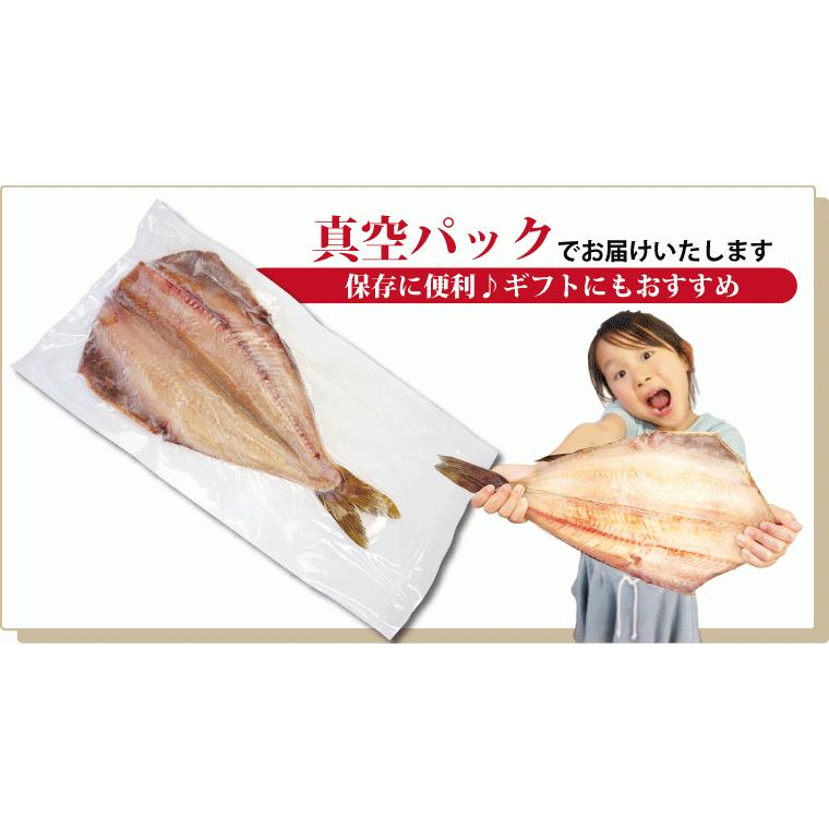 縞ホッケ 干物 ほっけ 特大 約400g×5尾 しまほっけ ホッケ ホッケ干物 シマホッケ 干物セット 真空パック 一夜干し 一夜干し魚 一夜干しセット ((冷凍))