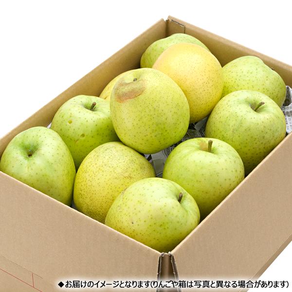 山形県産 ご家庭用 りんご 王林 5kg (訳あり 13玉〜23玉入り) 旬 リンゴ 訳あり わけあり 自宅用 果物 フルーツ 産地直送 お取り寄せ