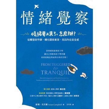 情緒覺察：情緒要上來了，怎麼辦？從觸發到平靜，轉化關係衝突，找回內在安全感