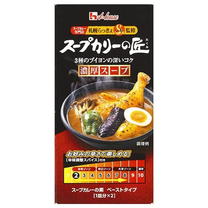 ハウス食品 スープカリーの匠 ペーストタイプ 濃厚スープ 119g×10個入×(2ケース)