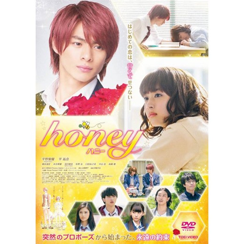 honey Blu-ray パンフレット 平野紫耀 - 邦画・日本映画