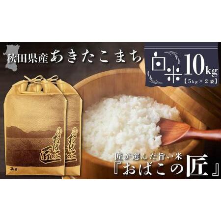 ふるさと納税 秋田県産おばこの匠あきたこまち　10kg （5kg×2袋）白米 秋田県大仙市