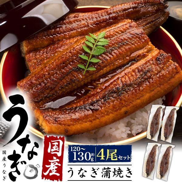 うなぎ 蒲焼き 国産 約120〜130g×4尾 鰻 贈答 ギフト お中元  熨斗対応可 お取り寄せ グルメ 冷凍便