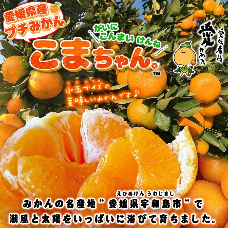 小玉みかん こまちゃん お試し用 2kg 愛媛県産 小玉 みかん 家庭用 訳あり 愛媛みかん 送料無料 プチ 小粒 2S 3S 箱買い 蜜柑 温州 早生 南柑 20号 SS 2キロ