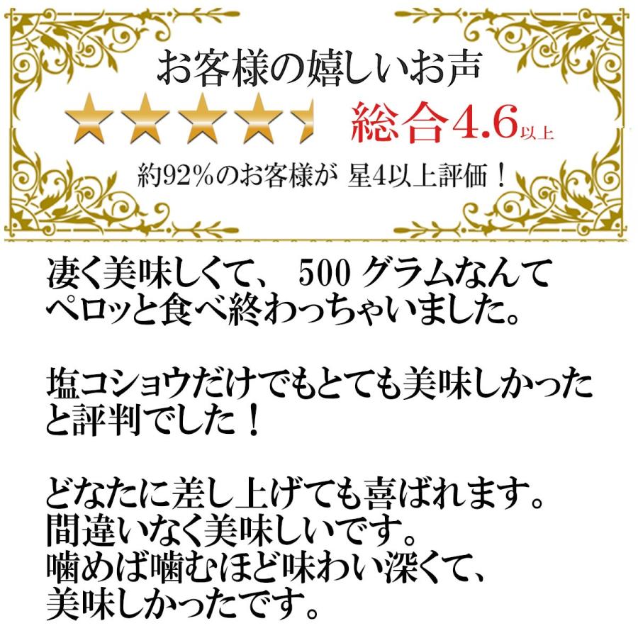 豚肉 訳あり イベリコ豚 切り落とし 500g ギフト お取り寄せ あす着く 食品 肉 しゃぶしゃぶ