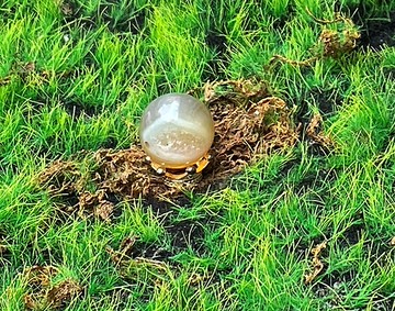 有球必應 招財吸金-天然開口笑瑪瑙球 財運擺件 快速出貨