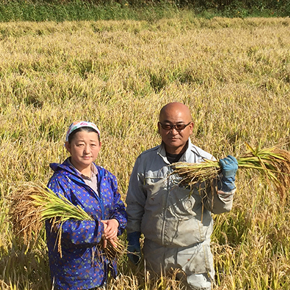 仁木町「ゆめぴりか」定期便（毎月5kg発送 全8回）