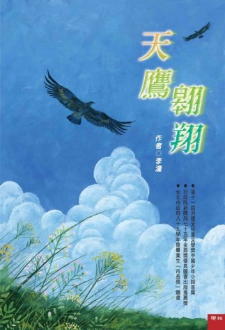 天鷹翱翔[二手書_近全新]