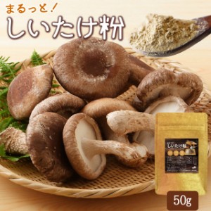 しいたけパウダー 粉末 ５０ｇ 万能だし 粉 三重県産 農薬不使用栽培 椎茸１００％使用 国産 チャック付袋入