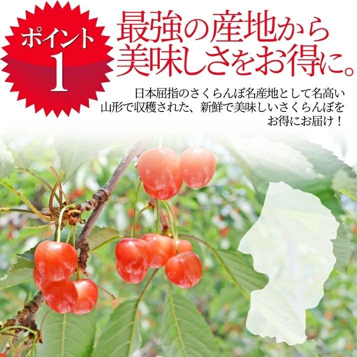 さくらんぼ 佐藤錦 700g バラ詰め 山形 訳あり 2024 山形県産 サクランボ ご家庭用 送料無料 取り寄せ (遠方送料加算)