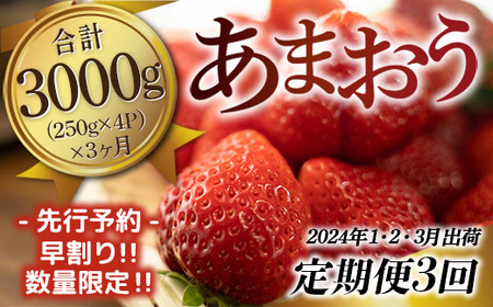 福岡県産 あまおうG以上 4パック 定期便3回 合計3000g 先行予約 2024年1・2・3月に発送予定　TY034