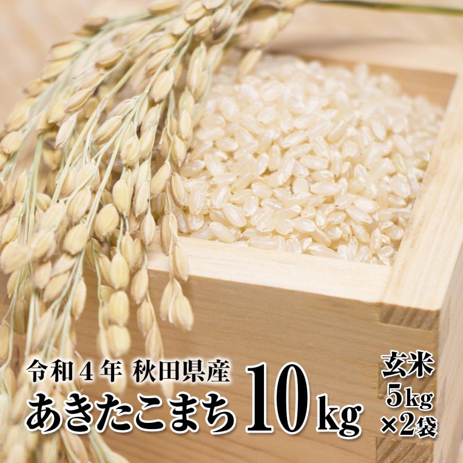 あきたこまち 玄米10kg(精米後9kg) 令和5年秋田県産