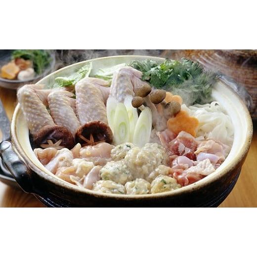 ふるさと納税 愛知県 豊橋市 名古屋コーチン鶏鍋セット