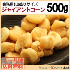 飲食店御用達☆業務用500g入りジャイアントコーン 常温 メール便配送