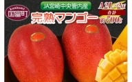 予約受付！数量限定！＜宮崎県産 完熟マンゴー A等級 2Lサイズ×2玉（合計約700g）＞2024年4月下旬～6月末迄に順次出荷