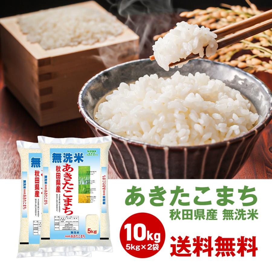 令和5年度 新米 お米 10kg 無洗米 あきたこまち 5kg 2袋セット 白米 秋田 国産 日本産