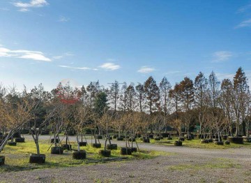平鎮東安學區8米路旁景觀透天(前院好停車)｜桃園市平鎮區平東路
