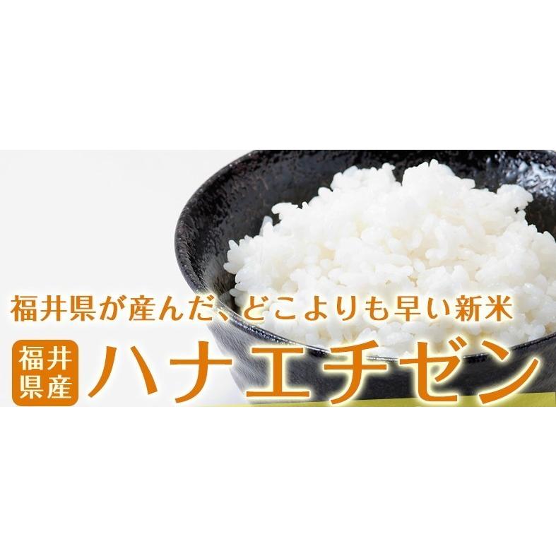 新米 米 ハナエチゼン 15kg  5kg×3袋 福井県産 白米 令和5年産 送料無料