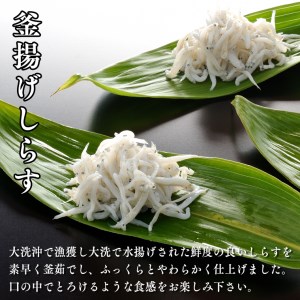 しらす 5品 食べ比べ セット (釜揚げしらす しらす干し ちりめん ちりめん山椒 しらす佃煮) 天然 大洗 シラス  離乳食