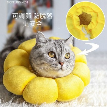 台灣發票現貨 太陽花造型 伊麗莎白圈 寵物頭套 美容頭套 絕育頭套 貓狗防舔防咬 太陽花項圈 貓頭套 貓咪頭套 防咬頭套