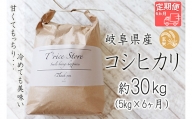 T rice Store 岐阜県産コシヒカリ（玄米） 約30kg(5kg×6回）