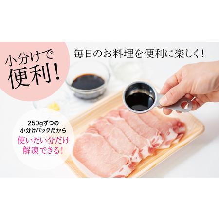 ふるさと納税 鹿児島県産豚ロース しゃぶしゃぶ用 計1.75kg（小分け250g×7パック）お肉 お鍋 おうち時間 小分けパック 生.. 鹿児島県南さつま市