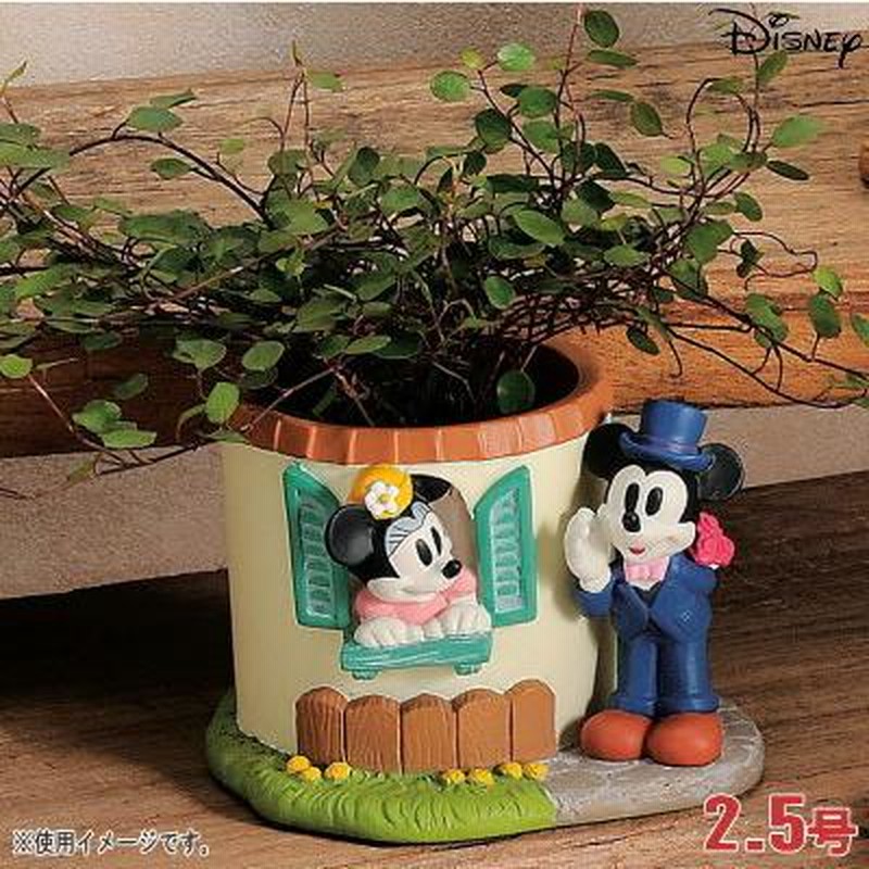 プランター 2.5号 小さい 植木鉢 窓辺 ミニーマウス＆ミッキー
