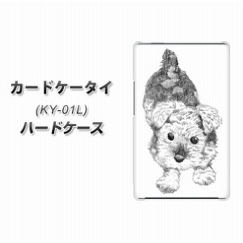 Docomo カードケータイ Ky 01 ハードケース カバー Yj187 シュナウザー 犬 かわいい イラスト 素材クリア Uv印刷 ドコモ カードケ 通販 Lineポイント最大1 0 Get Lineショッピング