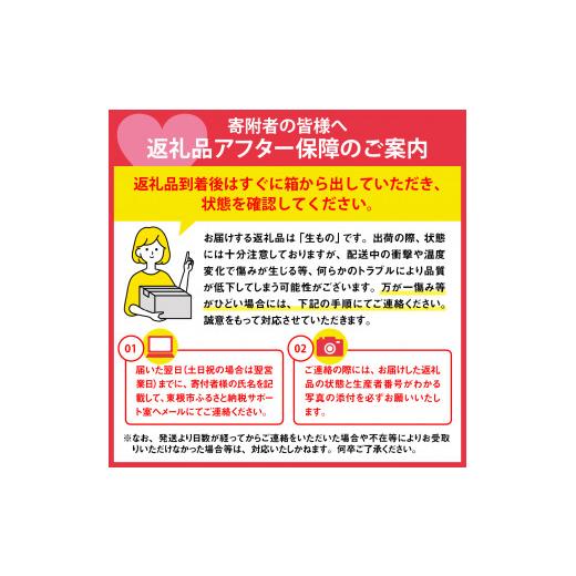 ふるさと納税 山形県 東根市 白桃 (品種おまかせ) 2kg (5〜8玉) 東根農産センター提供