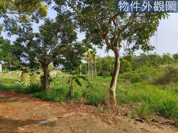 南投縣草屯鎮/視野景觀好/便宜美農地｜南投縣草屯鎮新南坪段