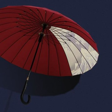 Raincats藝貓24骨長柄雨傘長柄雙人復古女彎鉤抗風浮世繪沖浪里男
