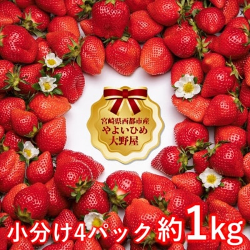 約1kg】苺大野屋「やよいひめ」(4パック)宮崎県西都市[2090] 通販 LINEポイント最大1.5%GET | LINEショッピング