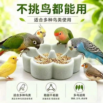 💢臺灣出貨💢火山石鸚鵡浮石食盆磨爪磨嘴防打翻防濺小太陽和尚虎皮專用鳥食盆