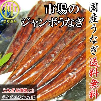 市場のジャンボうなぎ（うなぎ長蒲焼約200ｇ×3）   国産　土用の丑の日　送料無料 うなぎ