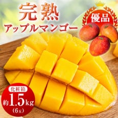 ＜優品＞完熟アップルマンゴー約1.5kg(化粧箱)6玉