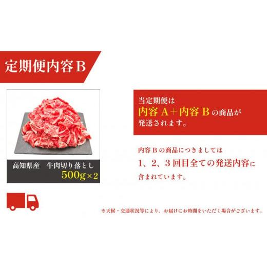 ふるさと納税 高知県 高知市 お肉の定期便　たっぷり牛肉尽くしセット(3か月)