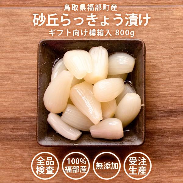 砂丘らっきょう漬け 鳥取県福部町産 ギフト向け樽箱入800g 無添加 国産 送料無料（北海道・沖縄を除く）