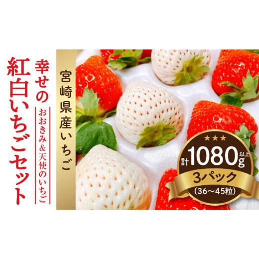 ふるさと納税 宮崎県 宮崎市 宮崎県産イチゴ「幸せの紅白いちごセット」3パック（1080g以上：36…