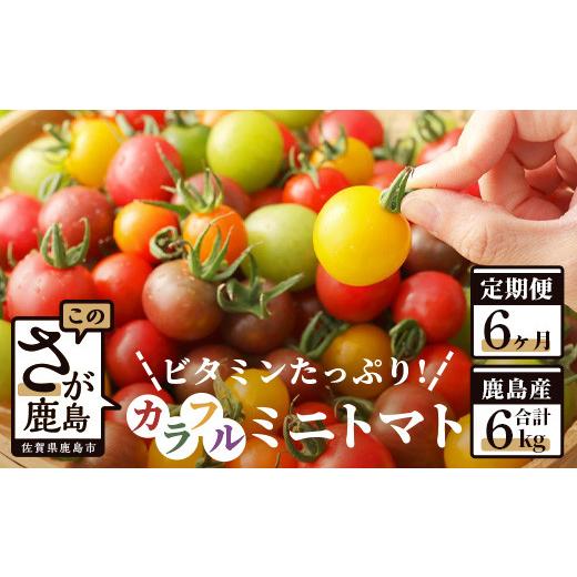 ふるさと納税 佐賀県 鹿島市  カラフルミニトマト 『Ricotomato』   H-11