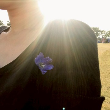 真花飾品。. * 飛燕草胸針。. * 以回收花人手製作