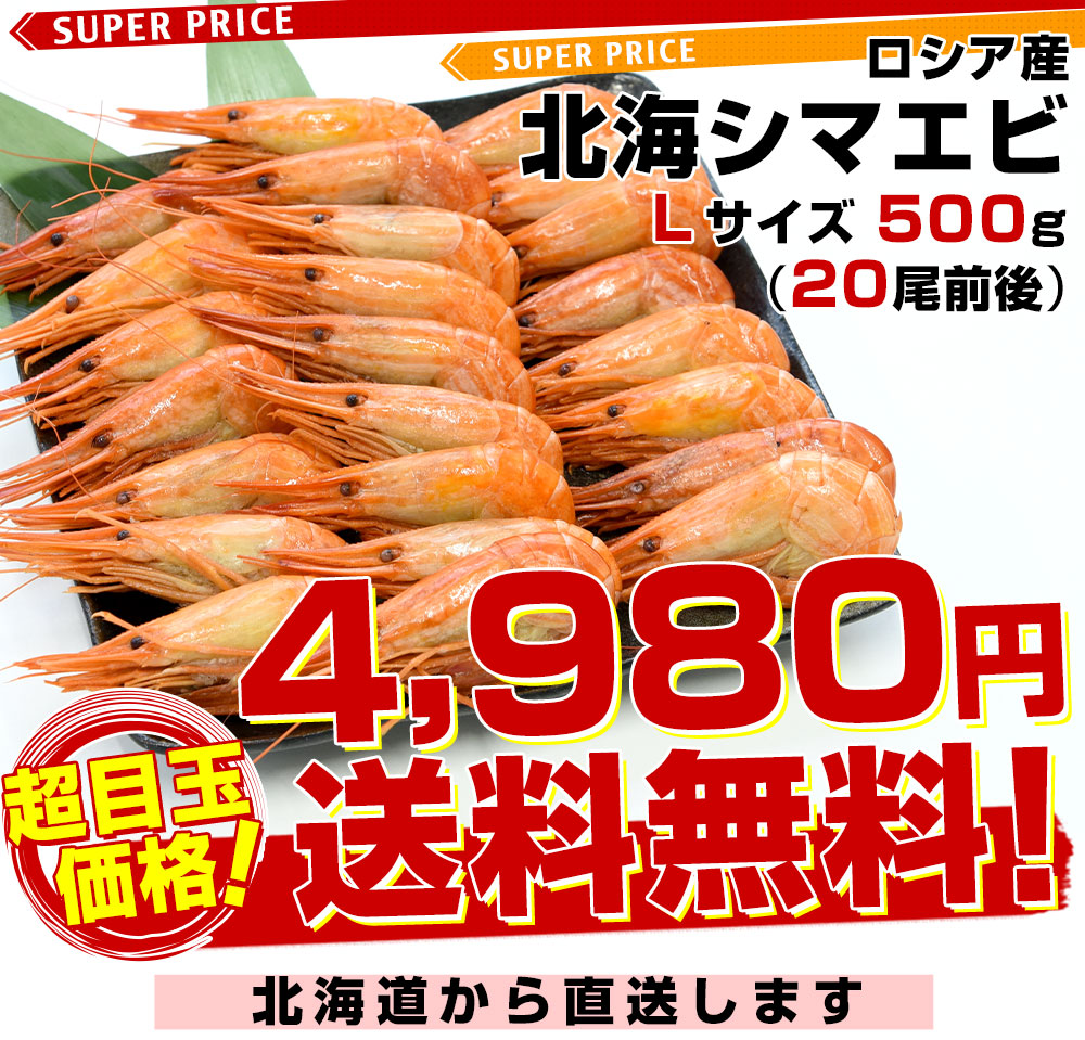 北海道より直送 特大 北海シマエビ Ｌサイズ 500ｇ(20尾前後) 送料無料 しまえび 縞えび エビ