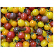 サザキ農園のカラフルミニトマト彩りバラエティーセット3kg
