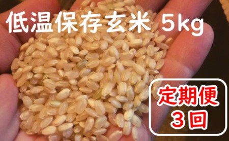 定期便 3回 米 5kg 玄米 ゆめつくし